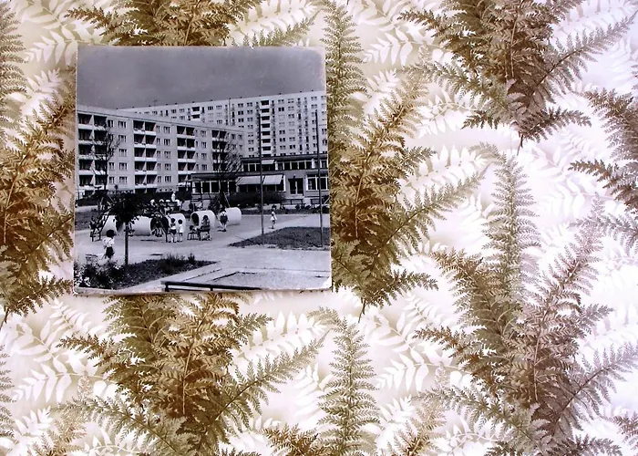 Ostel - Ddr Albergue